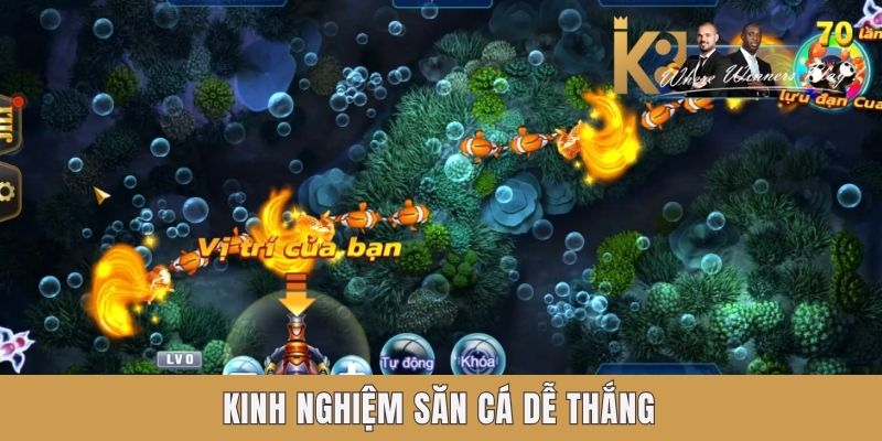 Kinh nghiệm săn cá dễ thắng Kinh nghiệm săn cá dễ thắng