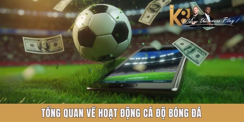 Tổng quan về hoạt động cá độ bóng đá Tổng quan về hoạt động cá độ bóng đá